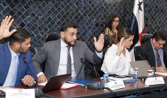 ML | Comisión de Comercio y Asuntos Económicos de la Asamblea.