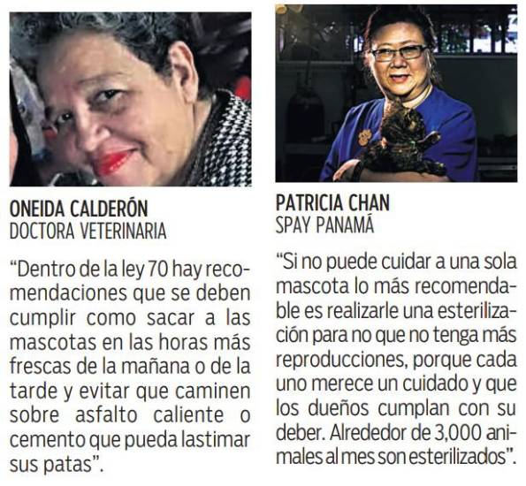 $!Los deberes y derechos de los dueños de mascotas