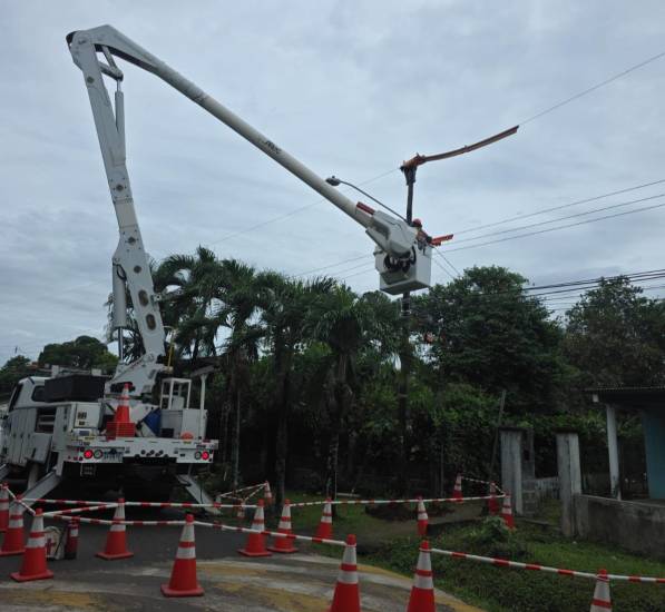 Naturgy despliega más de 350 operarios para reparar la red eléctrica afectada por las tormentas