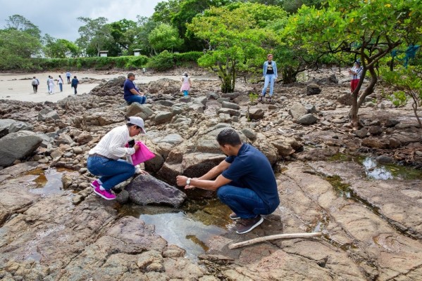 Docentes se capacitan con el Smithsonian en Punta Culebra