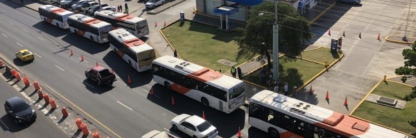 Nuevas rutas de MiBus recorrerán la avenida Ricardo J. Alfaro a partir del 25 de enero