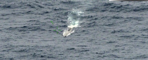 Senan capturó a cuatro colombianos a bordo de un sumergible con drogas