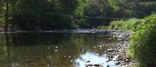 IDAAN: $1,800 millones para ampliar potabilizadoras