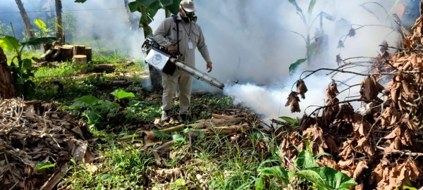 Minsa: “Para evitar el dengue no produzcamos criaderos”