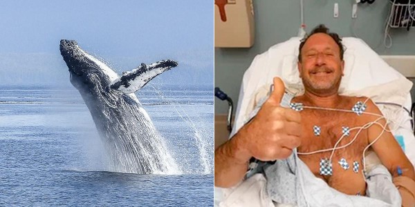 Una ballena se traga a un pescador frente a Massachusetts y luego lo escupe vivo