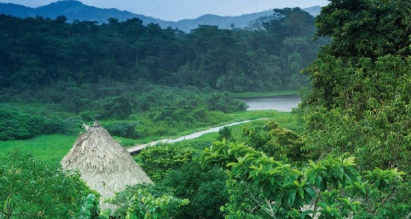 Aumenta cobertura de bosques y rastrojos en comarca Emberá Wounaan
