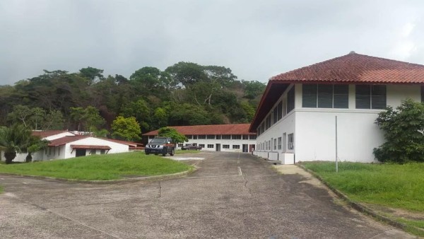 Estudiantes procedentes de China se quedarán en Howard hasta el 20 de febrero