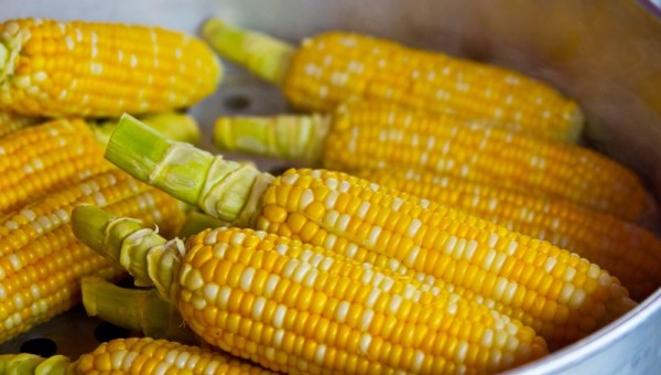 Empresas incumplen el acuerdo para la compra de maíz nacional