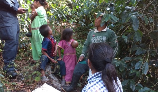Identifican a menores de edad en actividades de cosecha en cafetales de Boquete