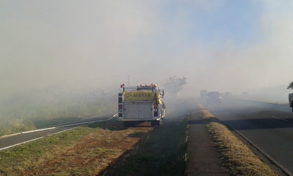 Incendios arrasaron 18.5 hectáreas del Parque Nacional Volcán Barú
