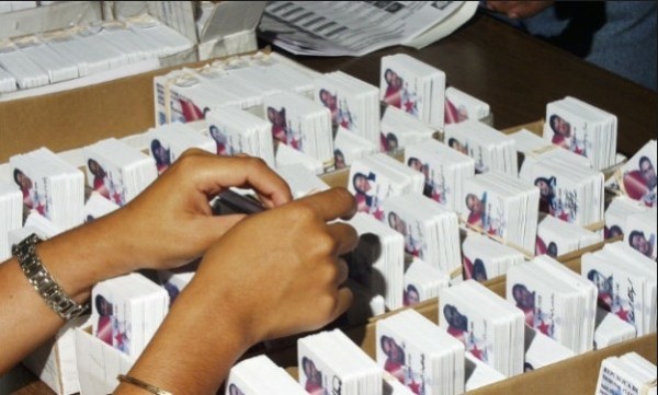 Tribunal Electoral trabaja en aplicación para renovar cédulas de forma virtual