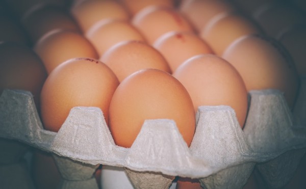 Sancionan con B/.10 mil de multa a importadora por incumplir reglamento sobre huevos conservados
