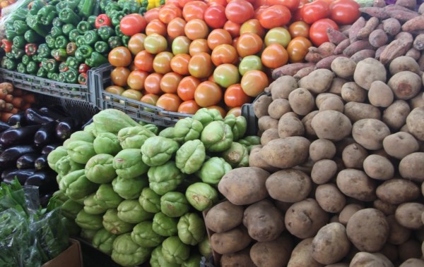 Sector agropecuario de Panamá creció 5% a pesar de la pandemia