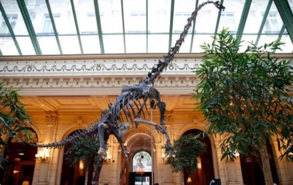 Un fósil de dinosaurio no encuentra comprador en una subasta en París