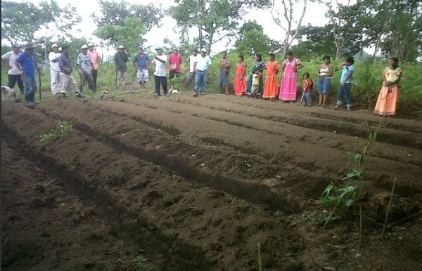 FAO busca apoyar al Meduca en el proyecto ‘Sistema de cosechas y purificación de agua en los centros educativos'