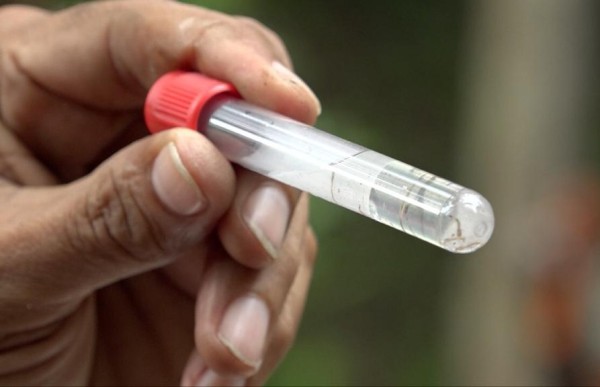 Panamá reporta más de 2 mil casos de dengue en lo que va del año