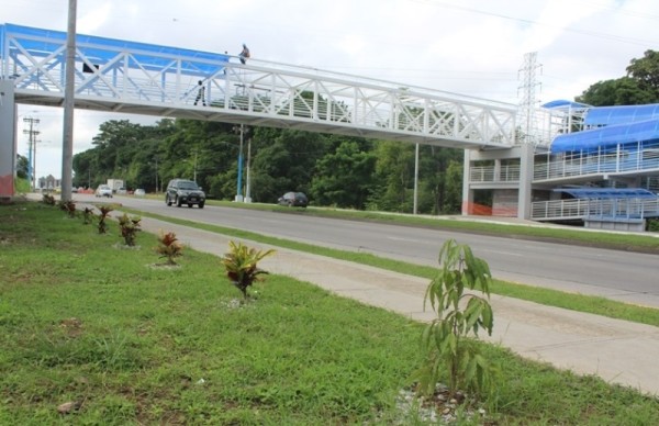 En agosto culmina la construcción del puente peatonal de la UTP