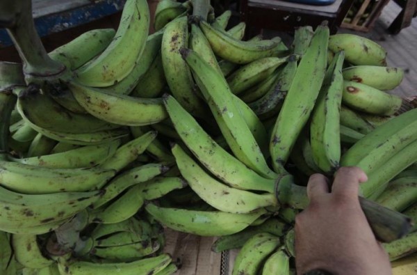 Piden mejores condiciones para comercializar el plátano en Darién