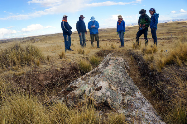 Investigadores encuentran enorme árbol fósil en la meseta andina central