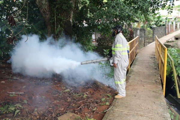 Minsa encabeza combate contra el dengue a nivel nacional