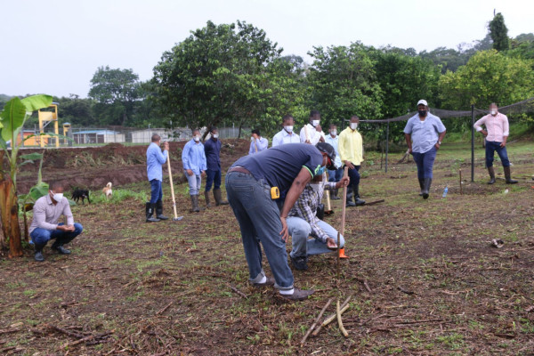 Reactivan proyecto de granja “El Buen Pastor”