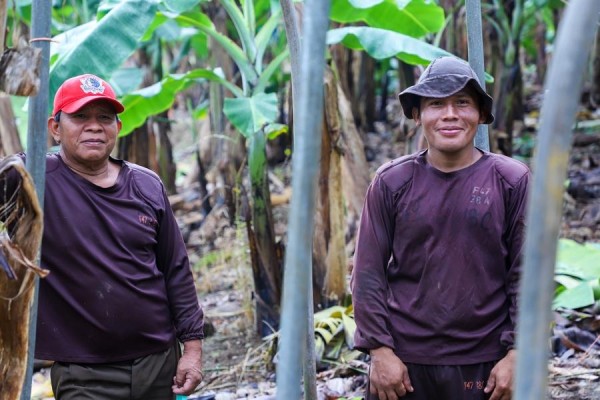 Trabajadores bananeros solicitan estabilidad laboral