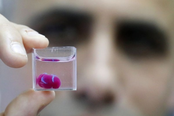 Científicos israelíes presentan un corazón realizado con impresora 3D a partir de tejidos humanos