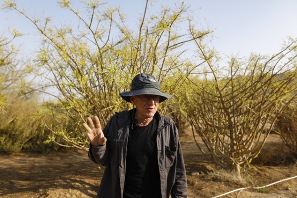 Un granjero resucita perfumes de la Antigüedad cerca del mar Muerto