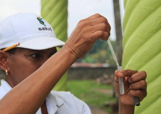 ML | Panamá reporta 272 casos de dengue.