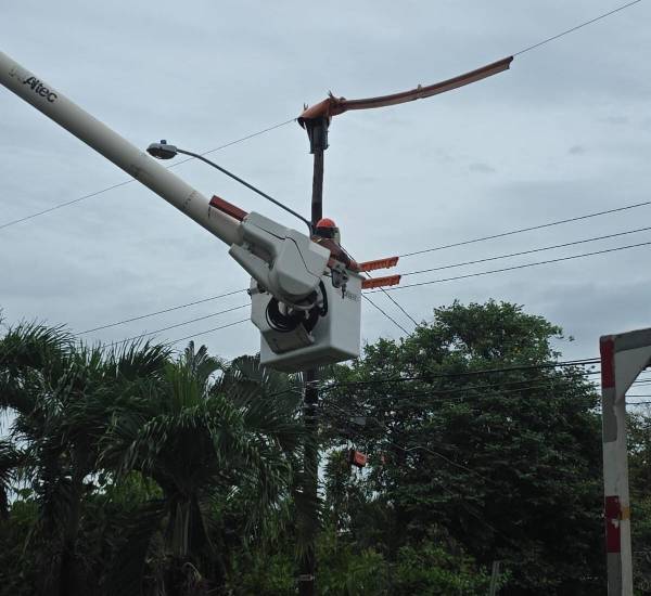 Naturgy despliega más de 350 operarios para reparar la red eléctrica afectada por las tormentas