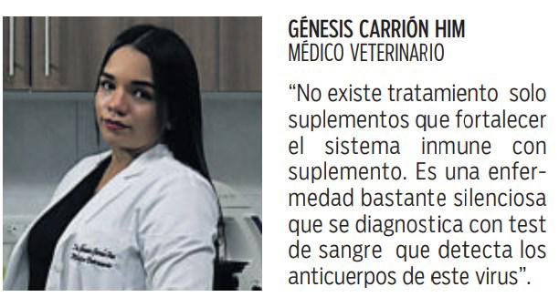 $!Cuidemos a los gatitos