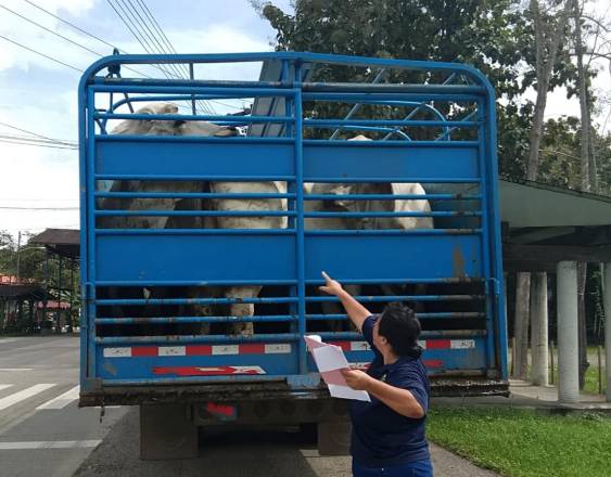 ML | Realizan inspección.