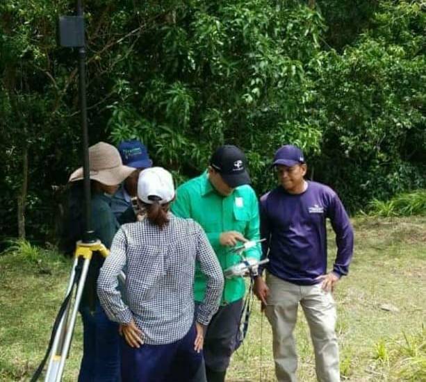 Buscan identificar dónde están las especies de bambú en Panamá, que son reservorios de agua