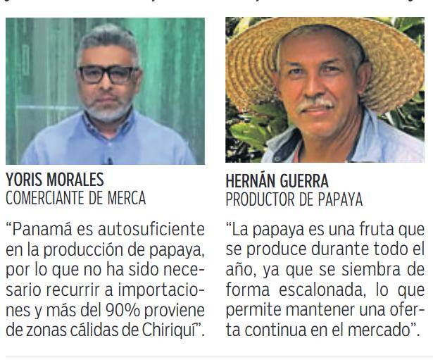 $!Producción de papaya supera los 850 mil quintales al año