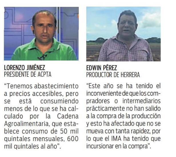 $!Mercado está abastecido de cebolla, pero con un bajo consumo, según productores