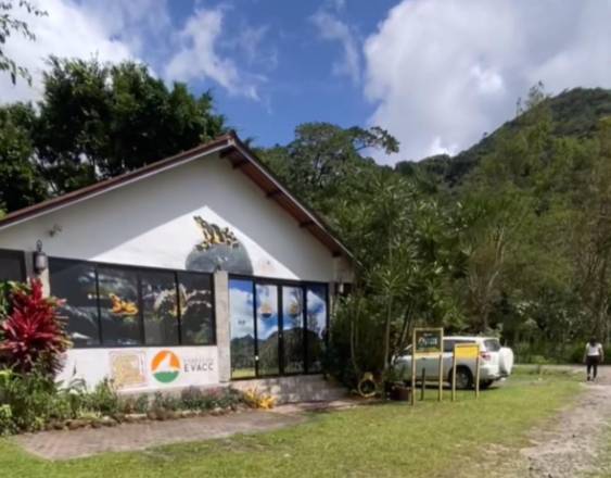 ML | Sede de la fundación El Valle Amphibian Conservation Center (EVACC).