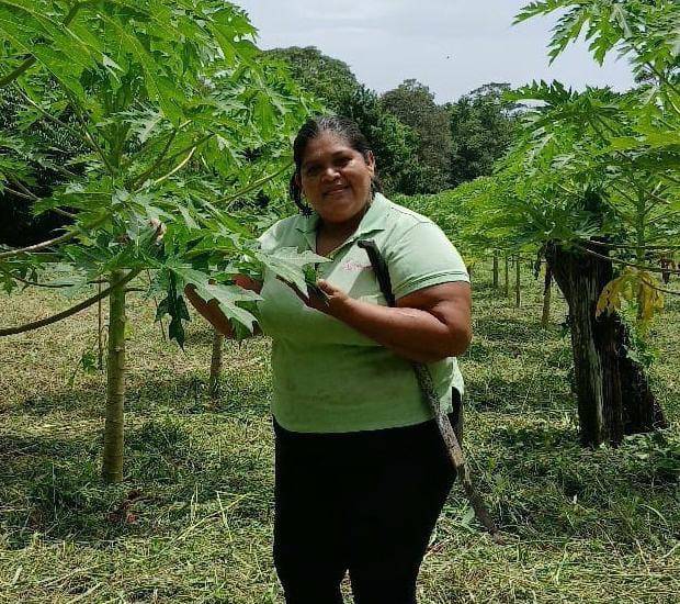 El agro busca alternativas ante los efectos de El Niño