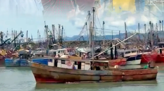 Cerca de 53 embarcaciones retoman la pesca de camarón tras finalizar período de veda