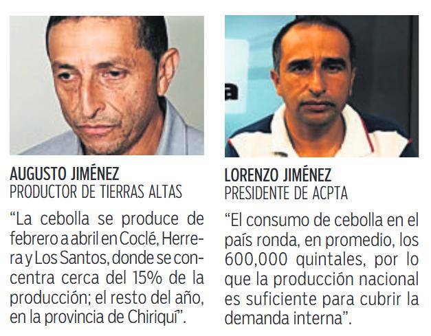 $!Producción anual de cebolla supera los 688 mil quintales