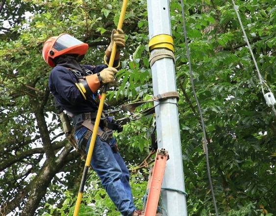 AVISO IMPORTANTE: Trabajos de mantenimiento en la red eléctrica del 29 de junio al 5 de julio de 2026
