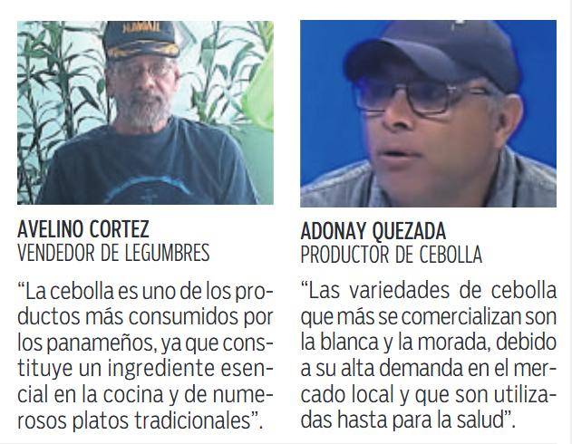 $!Producción anual de cebolla supera los 688 mil quintales