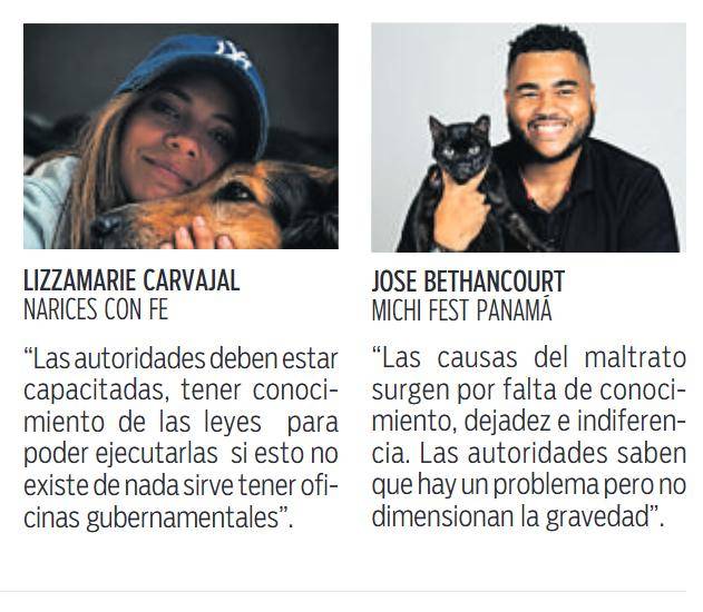 $!Aumentan denuncias por maltrato a mascotas