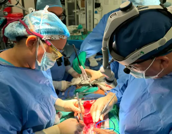 ML | Equipo de la CSS en el proceso de la cirugía.