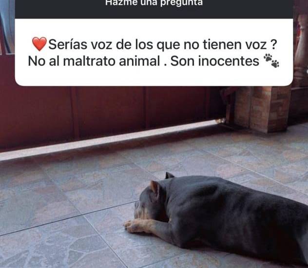 Caldo Deportivo del 2 de septiembre de 2026