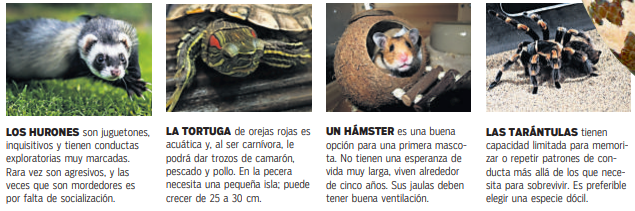 $!¡Mascotas exóticas!