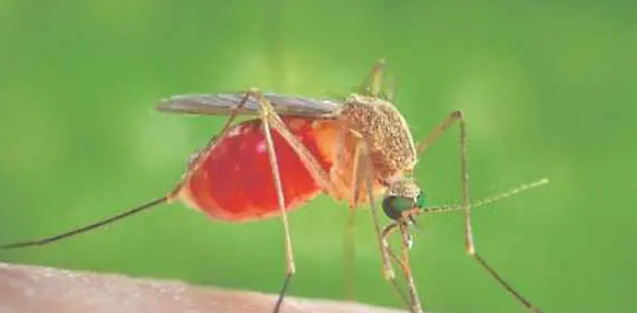 Tejemeneje del 9 de marzo de 2026