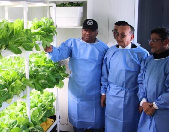 Inauguran el primer laboratorio de producción en ambiente controlado en la Universidad de Panamá