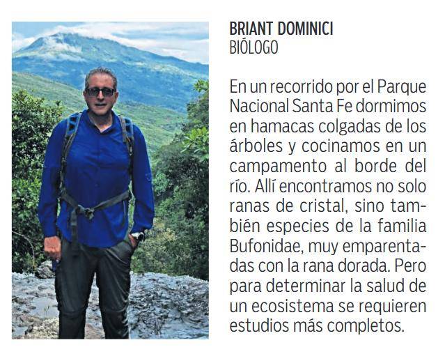 $!Ranas de cristal, guardianes del bosque