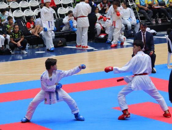Felipe Sepe: Campeón nacional en karate, de la categoría Cadete