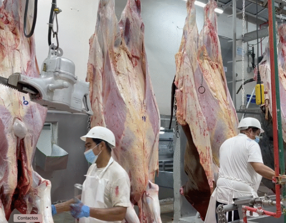 Conflicto comercial afecta exportaciones